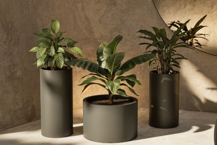 Donice dekoracyjne do domu lub ogrodu Cavo i Alto